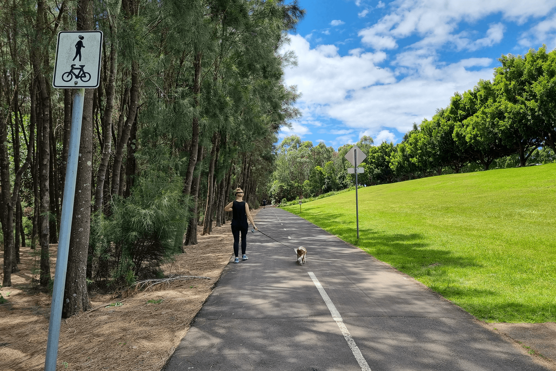 21107-2-figtree-drive-sydney-olympic-park-nsw-2127-apartment-for